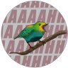 Kvack