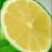 BitterMelon