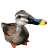 clarken