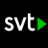 Stephan Terning SVT