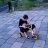Simpan96