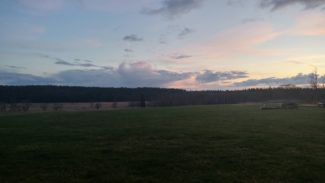 LG G5