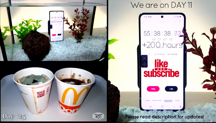 En Galaxy S21 har varit nedsänkt i akvarium i 11 dagar, fungerar fortfarande