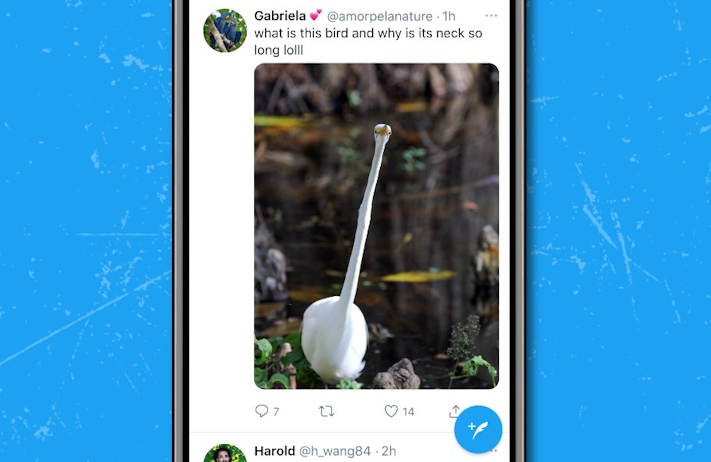 Twitter-appen har fått större förhandsvisningar av bilder