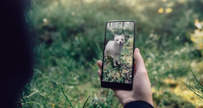 Google samarbetar med Naturskyddsföreningen – visar utrotningshotade svenska djur i 3D