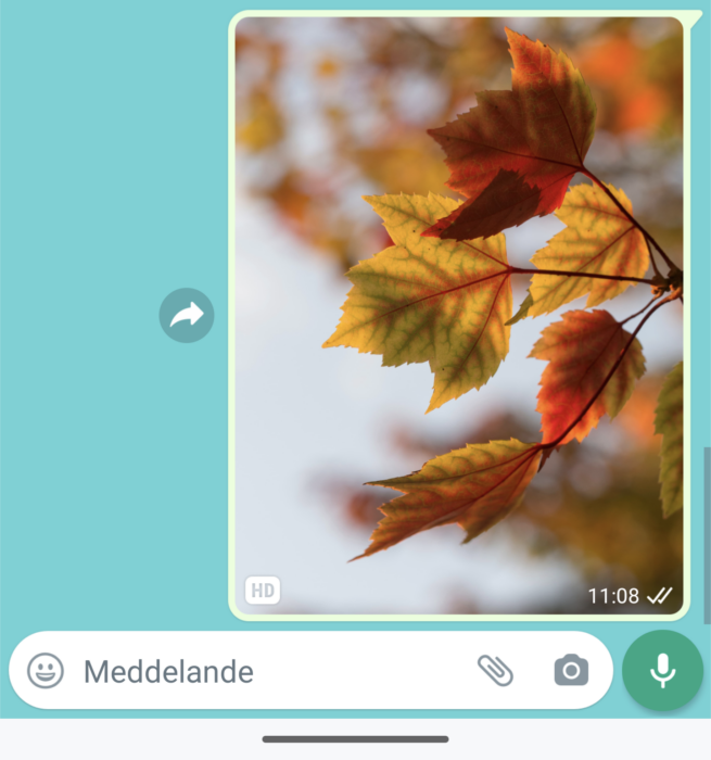 Whatsapp kan nu skicka mer högupplösta bilder