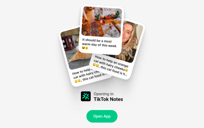 Instagram-utmanaren från Tiktok börjar närma sig